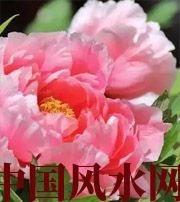 南充预示你财运上升，姻缘可成的梦境，快来看看吧！