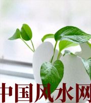 南充家中摆放六种吉祥物，会打开您的财运大门！