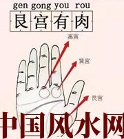 南充这个地方肉越多，财运就越好
