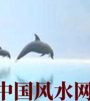 南充做梦梦到这些，是要富裕的征兆！